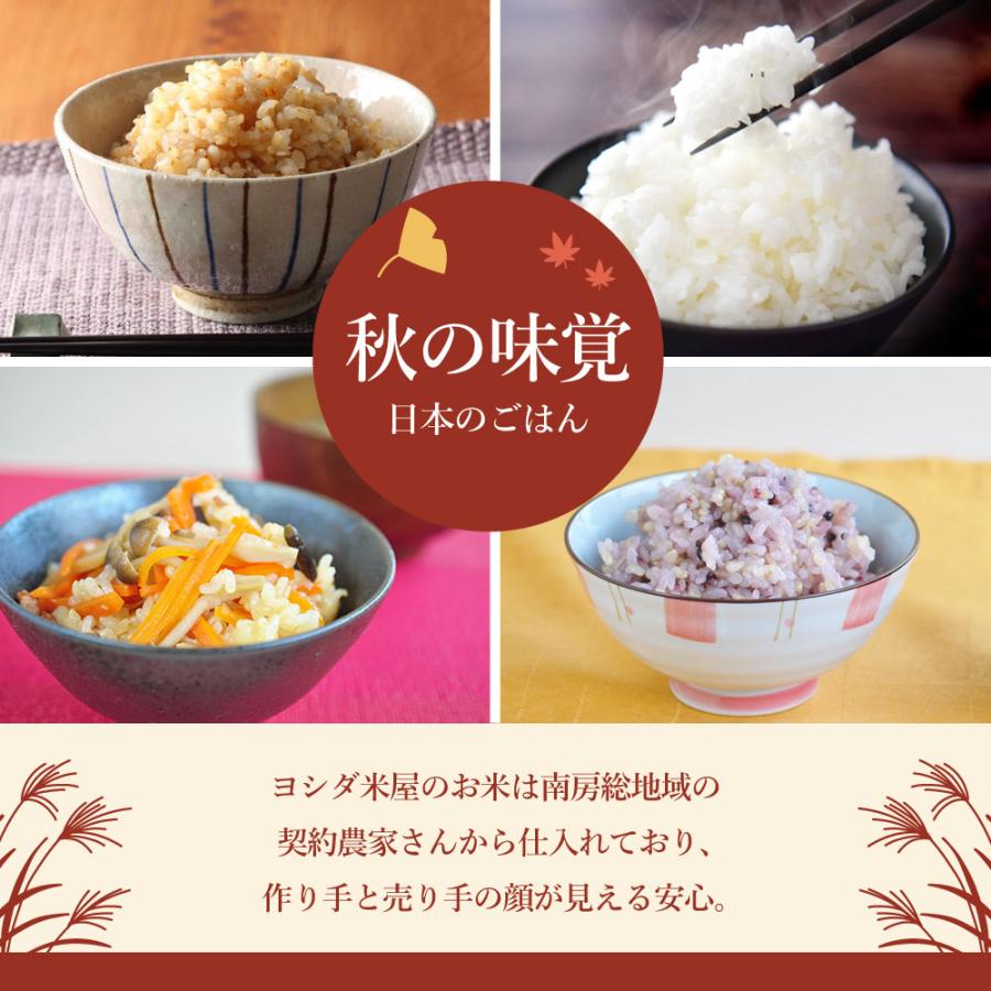 コシヒカリ 10kg 送料無料 令和6年産 館山 南房総 千葉県 コシヒカリ 10kg 送料無料 令和6年産 館山 南房総 千葉県