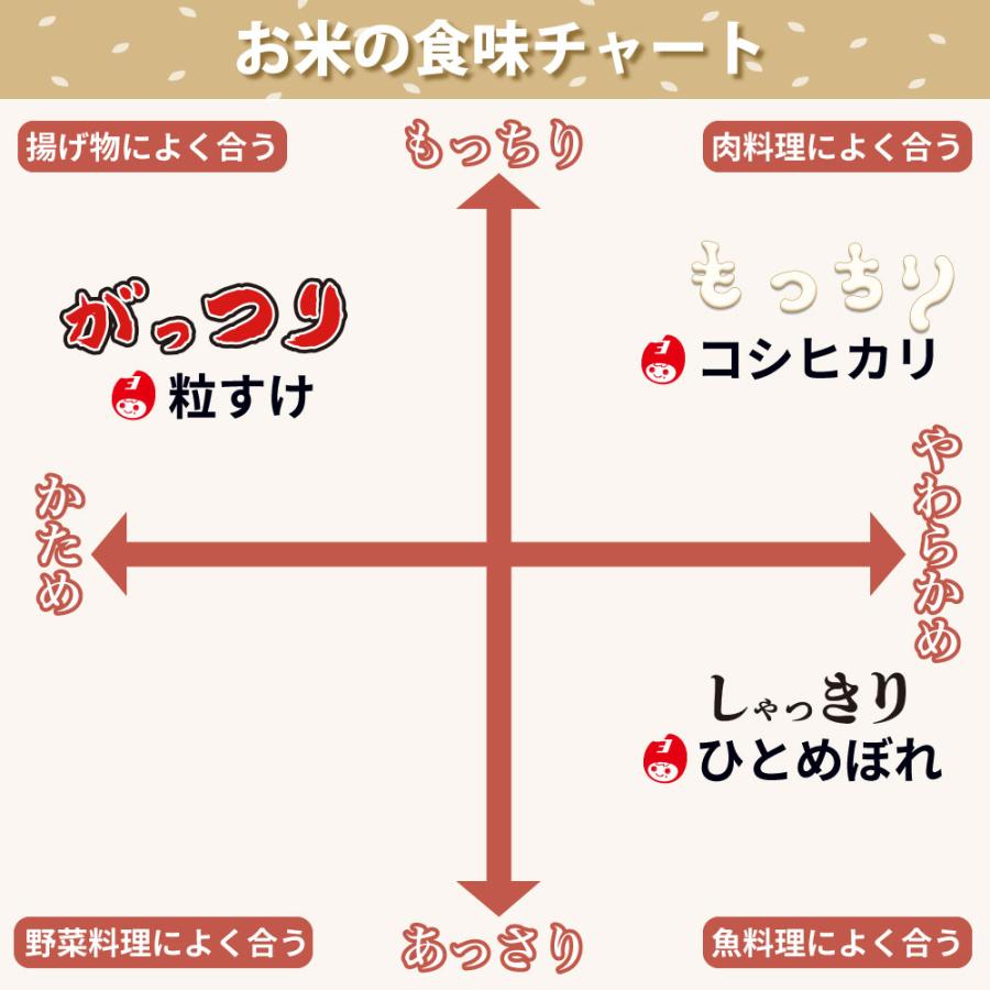 コシヒカリ 10kg 送料無料 令和6年産 館山 南房総 千葉県 コシヒカリ 10kg 送料無料 令和6年産 館山 南房総 千葉県