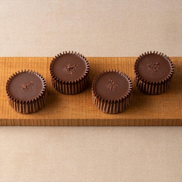 ゴディバ（GODIVA） ゴディバ公式（GODIVA）ショコラ バスクチーズ