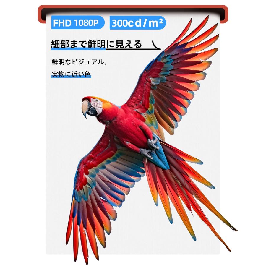 Ingnok モバイルモニター 15.6インチ モバイルディスプレイ FHD 非光沢 A+スクリーン IPS液晶パネル USBTypeC