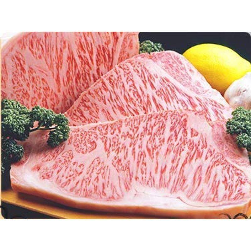 和牛 A5 サーロインステーキ 500g 250g 2枚 佐賀牛 宮崎牛 お取り寄せ 肉 グルメ ギフト 8周年記念イベントが