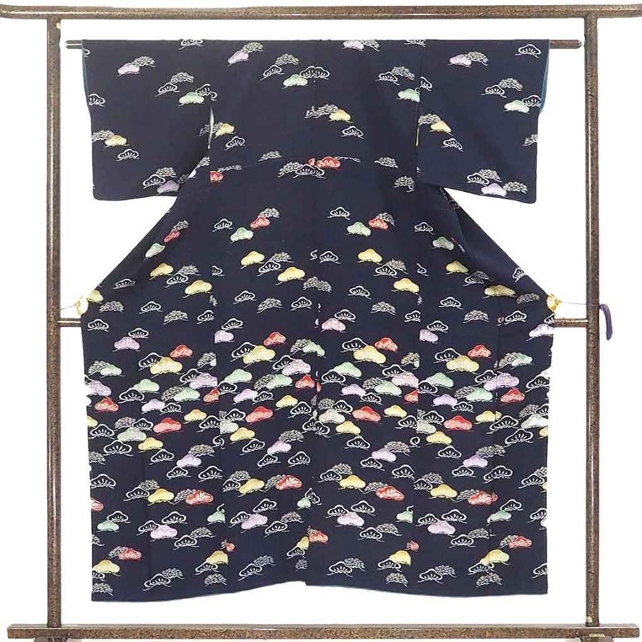 訪問着 身丈153cm 裄丈62.5cm 正絹 逸品 【中古】 訪問着 身丈153cm 裄62cm レディース 袷 裄Sサイズ 秋冬春用 正絹