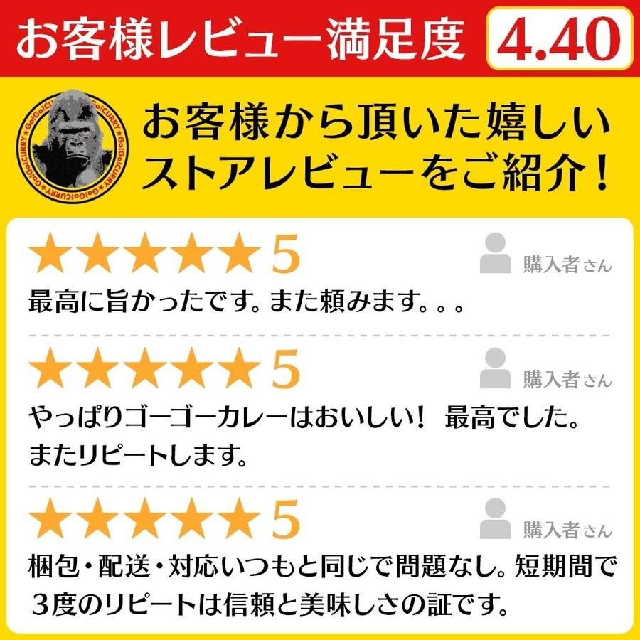 ゴーゴーカレー 辛口 1食入り レトルトカレー ご当地 カレー 激辛 ポークカレー 金沢カレー レトルト食品｜gogo-curry｜06