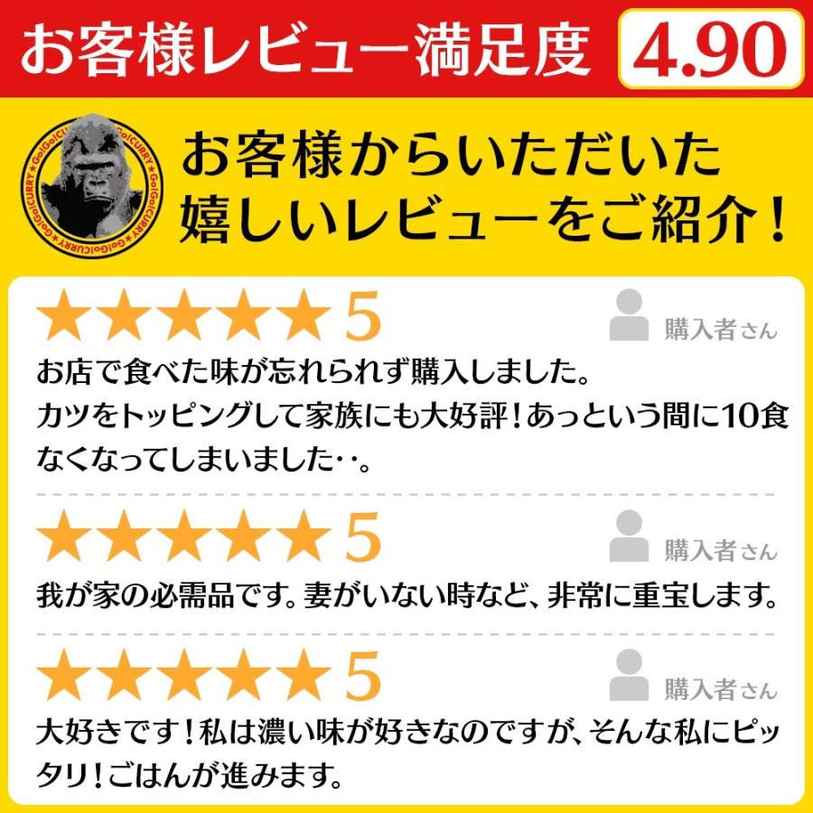 レトルトカレー ゴーゴーカレー 中辛 10食 セット カレー レトルト レトルト食品 お取り寄せグルメ お取り寄せ｜gogo-curry｜04