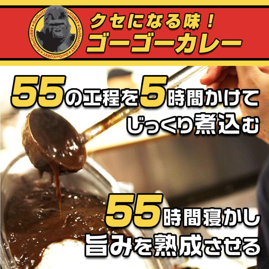 レトルトカレー 選べる 5食 セット カレー レトルト レトルト食品 お取り寄せグルメ お取り寄せ｜gogo-curry｜28