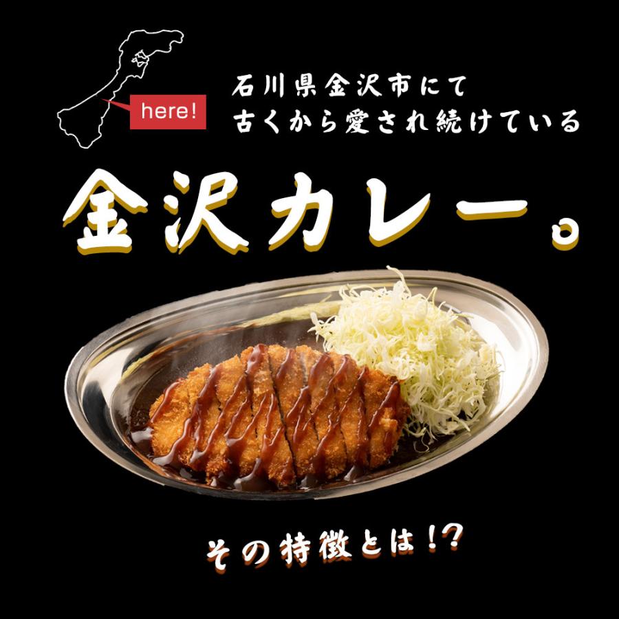 冷凍カレー ゴーゴーカレー 6食セット 冷凍パウチ 金沢カレー 詰め合わせ まとめ買い 冷凍食品 レトルト 常備食 非常食｜gogo-curry｜07