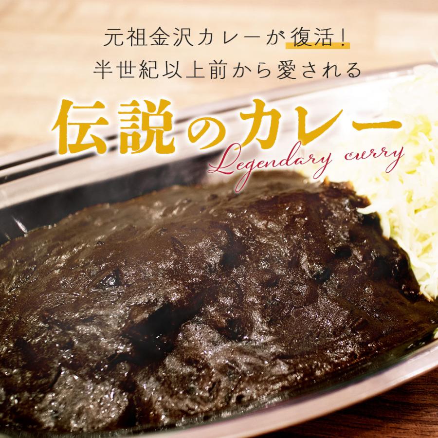 ゴーゴーカレー R ターバンカレーMJ 5食セット 金沢カレー 中辛 ご当地