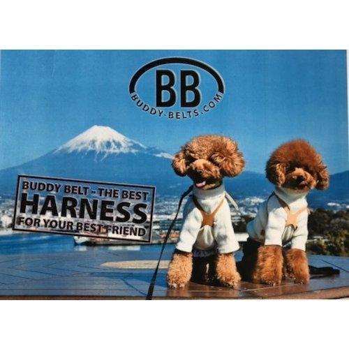 バディベルト　ホワイトキャップ3号スワロフスキー バディベルト ホワイトキャップ3号スワロフスキー バディベルト