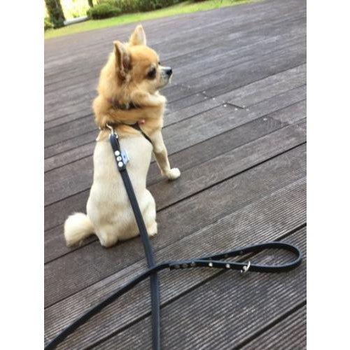 バディベルト 4号 ホワイトキャップ パーツ、スワロフスキーカスタム Buddy Belt/バディベルト・ハーネス/ホワイトキャップ/スワロフスキー
