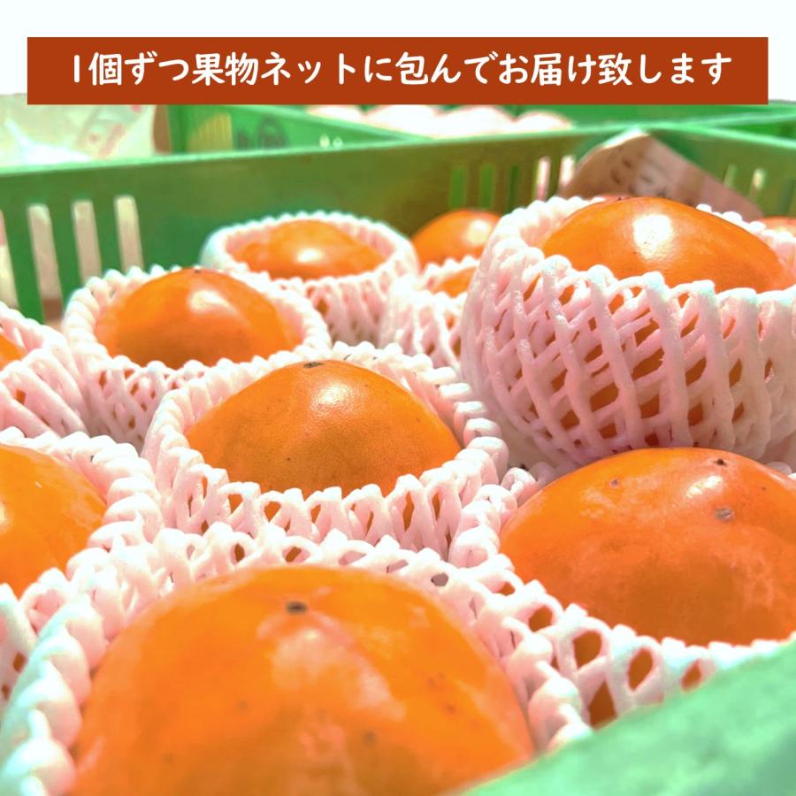 花御所柿 合格柿 【2026年12月半ば出荷_予約販売中】 合格祈願 受験応援 フルーツ 果物 お祝い プレゼント 贈答品 花御所柿 日本一甘い柿と呼ばれる 幻の柿_7