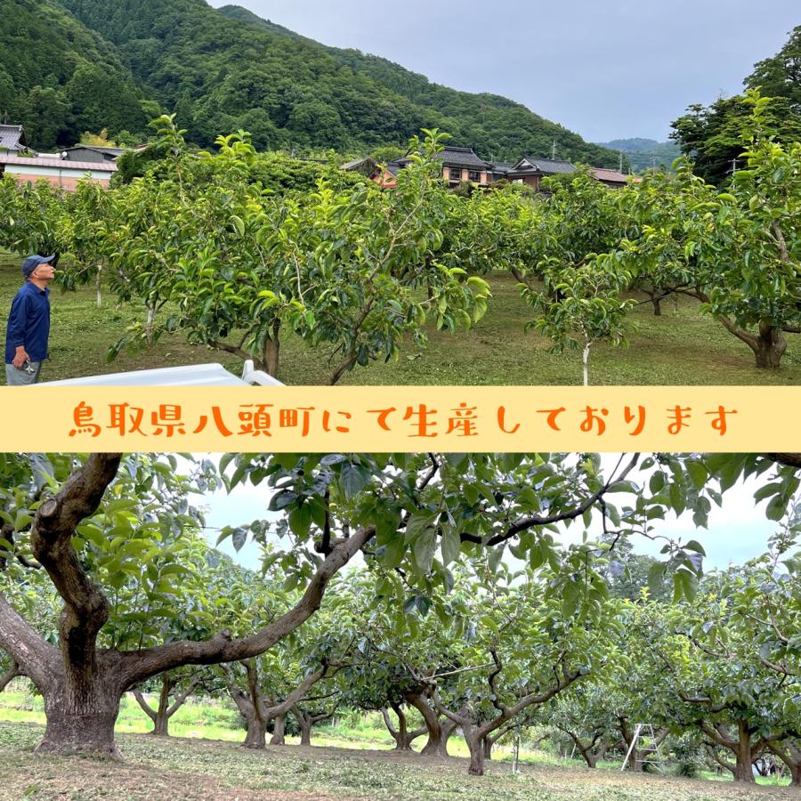花御所柿 合格柿 【2026年12月半ば出荷_予約販売中】 合格祈願 受験応援 フルーツ 果物 お祝い プレゼント 贈答品 花御所柿 日本一甘い柿と呼ばれる 幻の柿_8