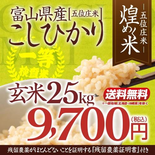 令和4年産・富山県産こしひかり「煌めく米ー五位庄米(ごいしょうまい 