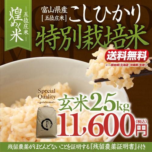 令和4年産・富山県産こしひかり「煌めく米ー五位庄米ー」特別栽培米 
