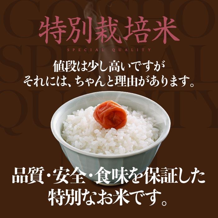 令和4年産・富山県産こしひかり「煌めく米ー五位庄米ー」特別栽培米　玄米 25kgコシヒカリ 11,600円(税込)【産地直送米】美味しい富山米｜goishou｜02