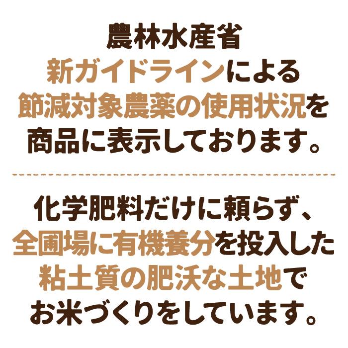 令和4年産・富山県産こしひかり「煌めく米ー五位庄米ー」特別栽培米　玄米 25kgコシヒカリ 11,600円(税込)【産地直送米】美味しい富山米｜goishou｜06