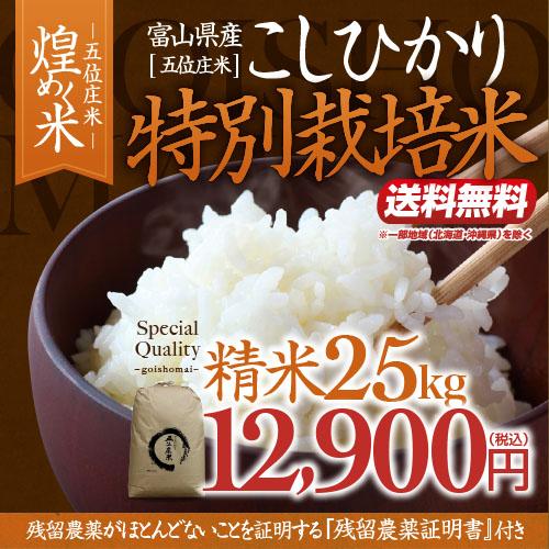 令和4年産・富山県産こしひかり「煌めく米ー五位庄米ー」特別栽培米 