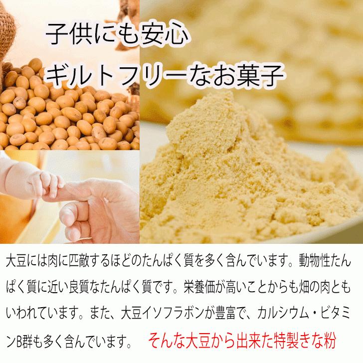 きなこ五家宝ごかほう 箱詰１５本入り無添加 ビーガンハラール 手土産 おしゃれ 日持ち お菓子 常温 ギフト 小分け 職場 おやつ おつまみ 間食 健康 008 株式会社ワタトー 通販 Yahoo ショッピング