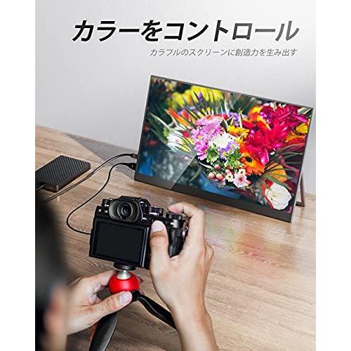 ご機嫌エブリデイモバイルモニター モバイルディスプレイ InnoView 色