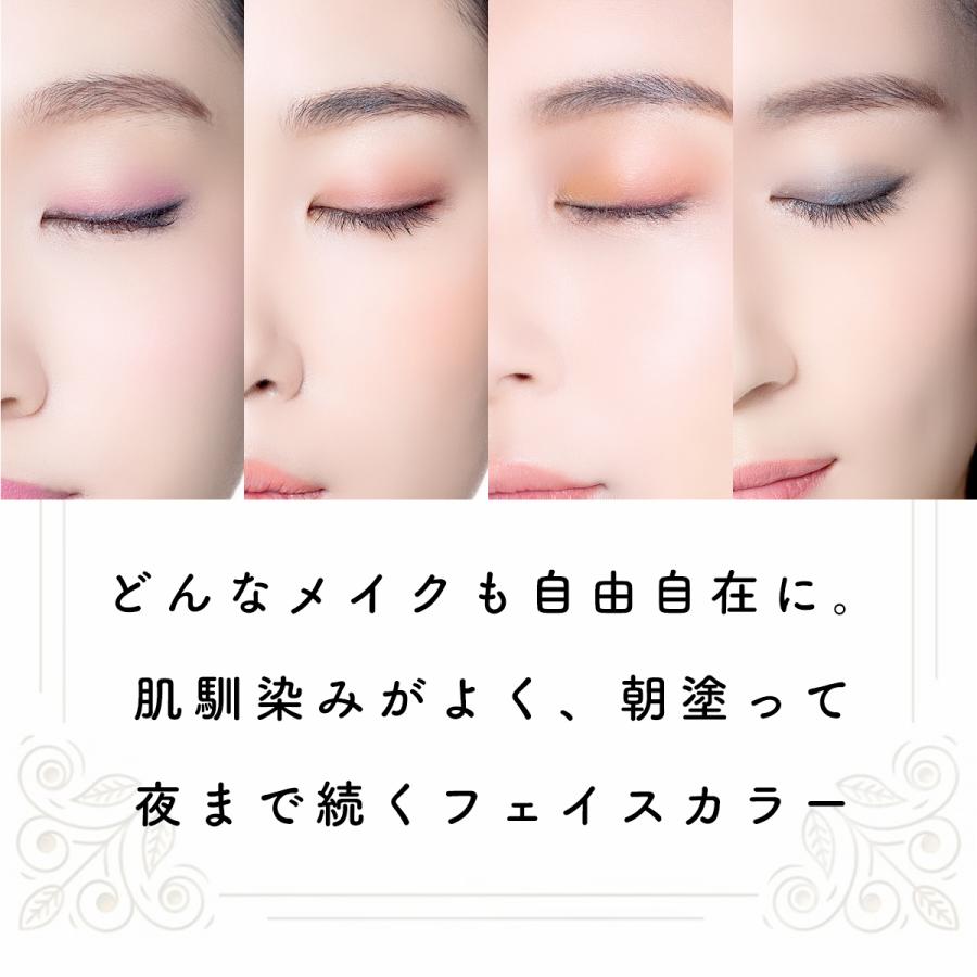 500円引きクーポン アイブロウ パウダー 眉メイク グラデーション ナチュラル 美眉 アイブロー ダークブラウン プチプラ 優秀 自然に ポイント消化 Bonneil ボヌール Aynaelda Com