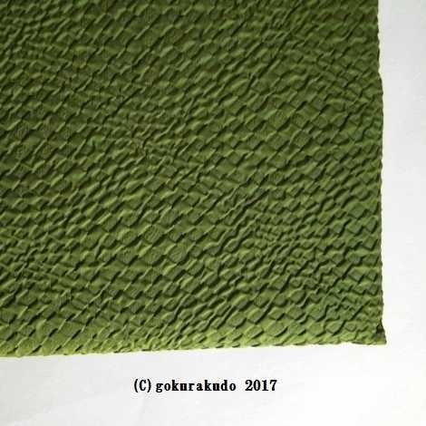 トートバック Python（グリーン-ブラック）Y |  | 01