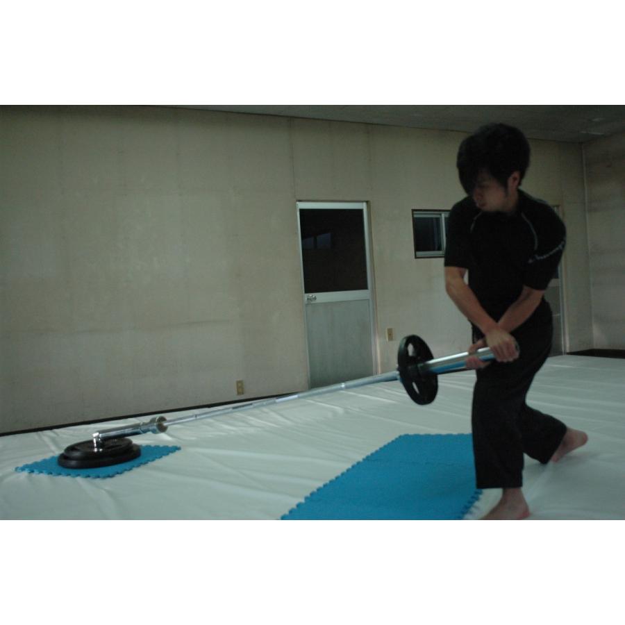 ランドマイントレーニング　専用　グリップ Amazon.co.jp: マルチグリップ ランドマイン ハンドル