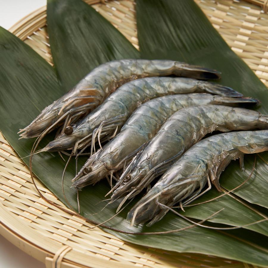 天使の海老 1kg 30-40尾 刺身用 生食用 冷凍 ニューカレドニア産