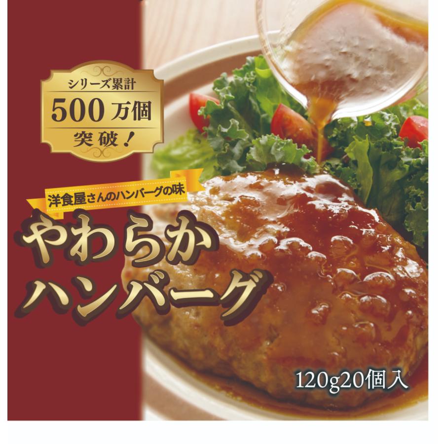 ハンバーグ 冷凍 レトルト 冷凍食品 お取り寄せ 業務用 おかず つくね