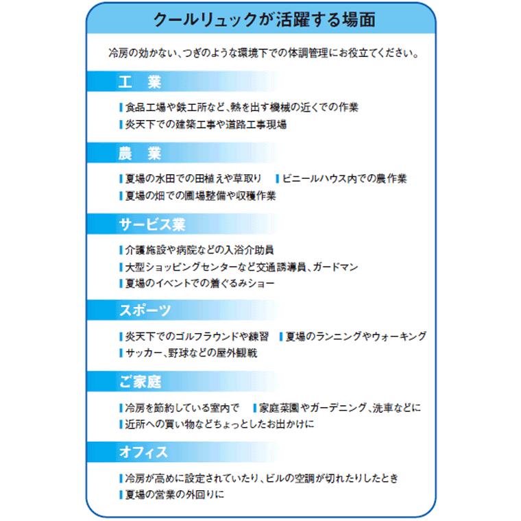 クールリュック 保冷剤付き 暑さ 熱中症 猛暑対策 背中から体全体を冷やす 保冷効果 涼しさを持続 防護服の熱中症対策 板金 造船 整備工場 病院 介護施設に Coolruck ゴルフィー ヤフー店 通販 Yahoo ショッピング