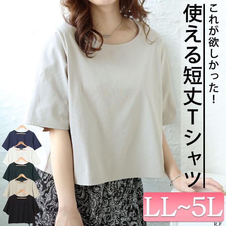 大きいサイズ レディース トップス Tシャツ ワイド クロップド ショート 5分袖 伸縮 春コーデ 春 秋 夏 LL 2L 3L 4L 5L ブラック 黒 オフホワイト ネイビー｜gold-japan｜07