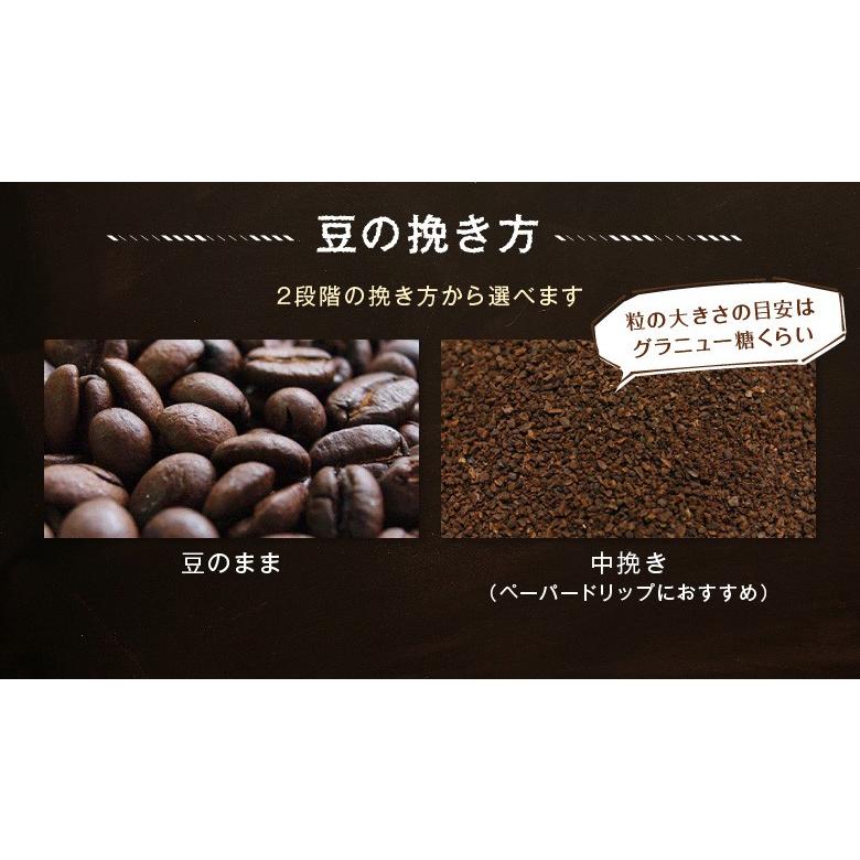 爆安!!【コーヒー生豆】グアテマラSHB 8kg※送料無料 nama-049.jpg