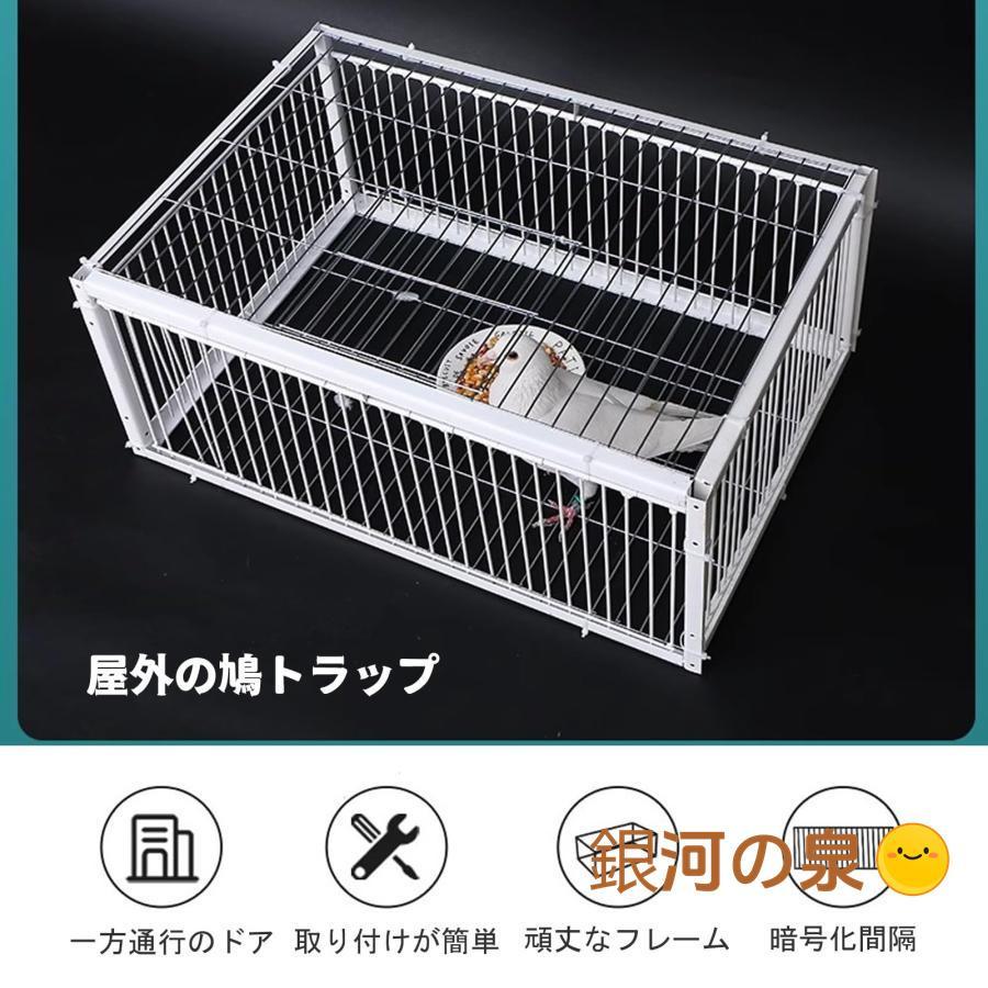 プロテインバー 狐芝ライカ エネルギー 7枚セット