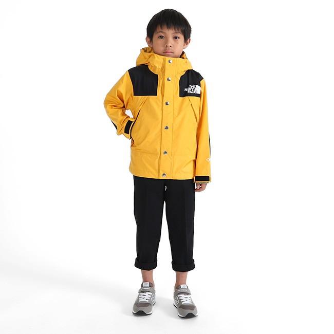 THE NORTH FACE ザ ノースフェイス GORE TEX ゴアテックス Mountain