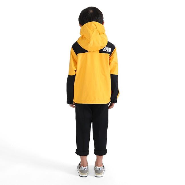 THE NORTH FACE ザ ノースフェイス GORE-TEX ゴアテックス