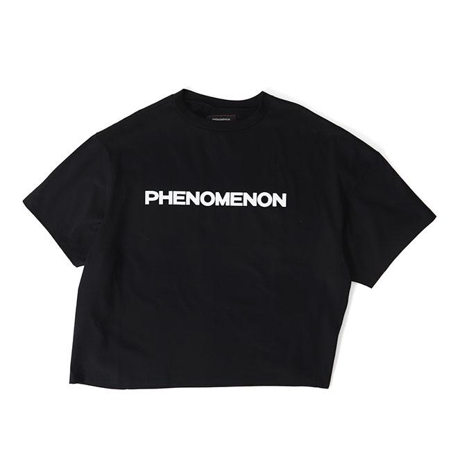 フ*ゴ様 phenomenon tシャツ PHENOMENON by FUMITO GANRYU フェノメノン フミトガンリュウ