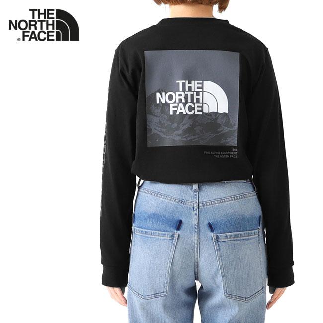 THE NORTH FACE ノースフェイス バック グラフィックロゴ ロンT