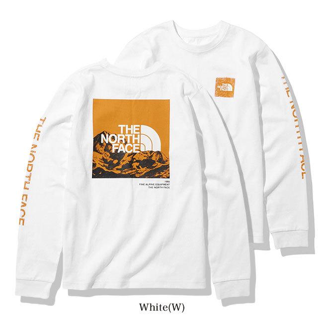 THE NORTH FACE ノースフェイス バック グラフィックロゴ ロンT
