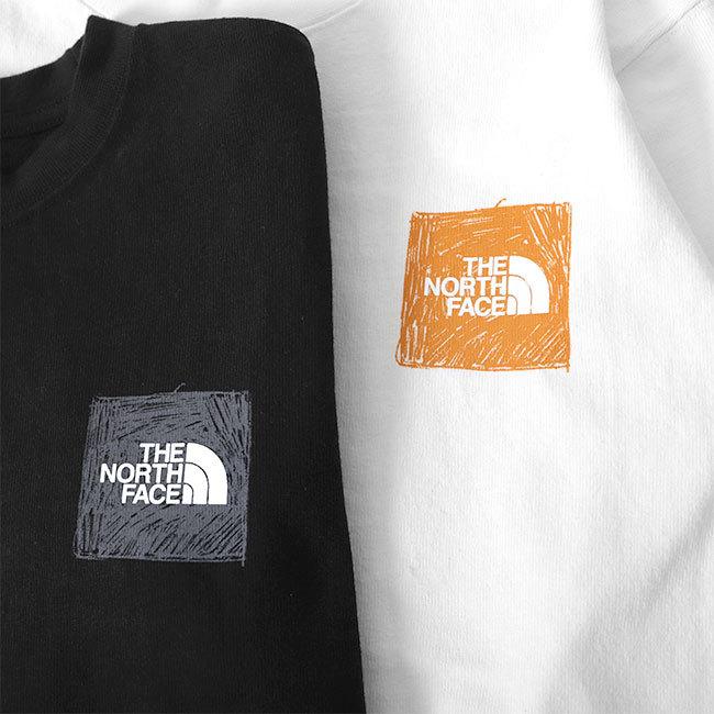 THE NORTH FACE ノースフェイス バック グラフィックロゴ ロンT