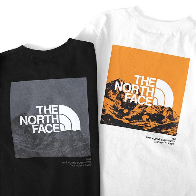 THE NORTH FACE ノースフェイス バック グラフィックロゴ ロンT