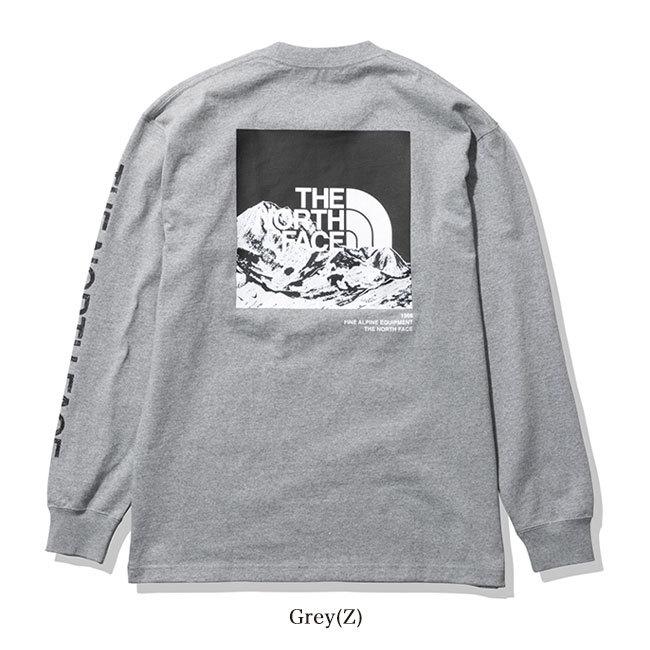 THE NORTH FACE ノースフェイス バック グラフィックロゴ ロンT