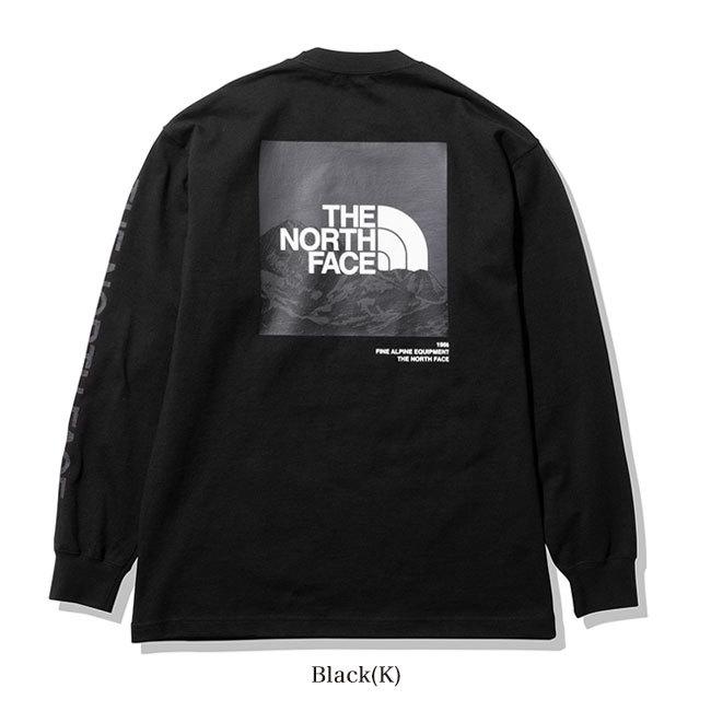 THE NORTH FACE ノースフェイス バック グラフィックロゴ ロンT