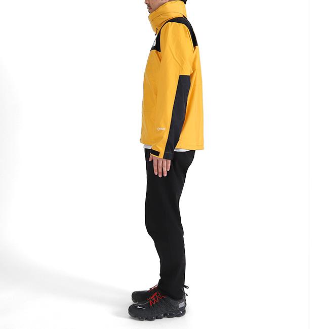 THE NORTH FACE ザ ノースフェイス マウンテンゴアテックス レ