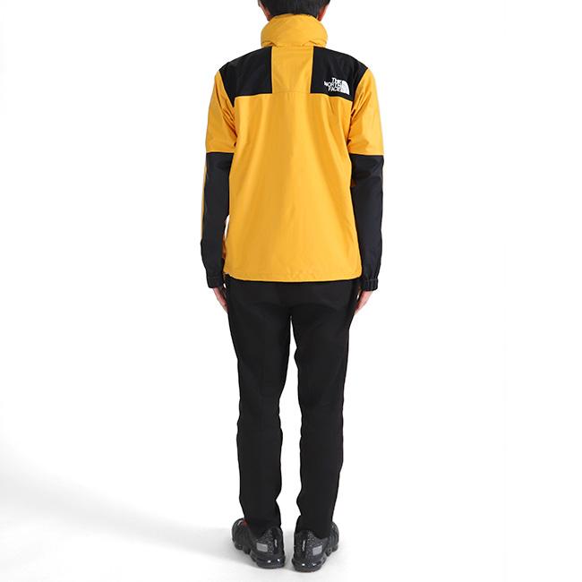 THE NORTH FACE ザ ノースフェイス マウンテンゴアテックス レ