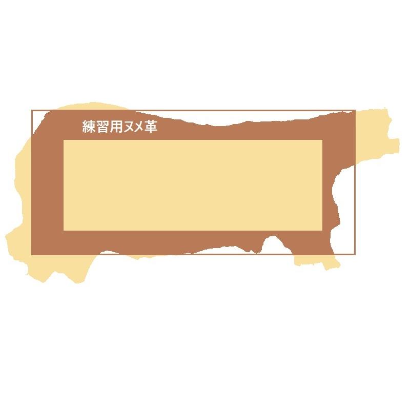 G3) 練習・試作用ヌメ革 A4 サイズ 2枚 グレード3 レザー G3) 練習・試作用ヌメ革 A4 サイズ 2枚 グレード3 レザー