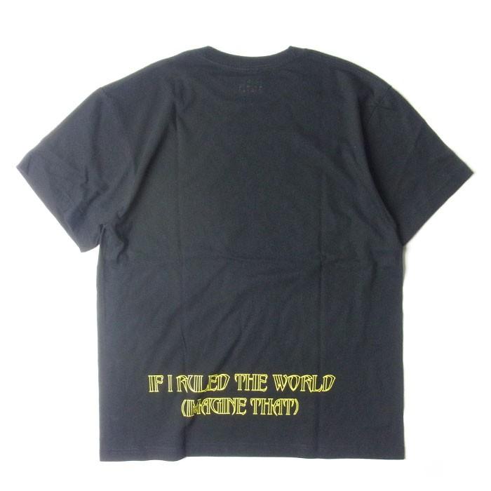 NASTY NAS ナスティー・ナズ 20SS-NAS-010 IF I RULED THE WORLD LT T-SHIRTS イフ アイ ルールド ザ ワールド Tシャツ It Was Written オフィシャル 2カラー｜goldentijuana｜10