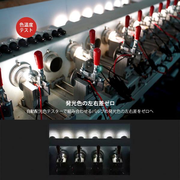 HID D2S D2R 6500K 岩崎照明 YEAKY LIGHTING エクストリーム ビジョン