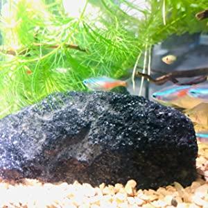 黒溶岩石盆栽ミニチュア庭園アクアリウム