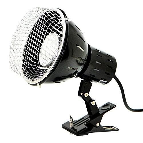 Gold 35w Hidランプ ゼンスイ Gold Hidランプ ソーラーラプター River