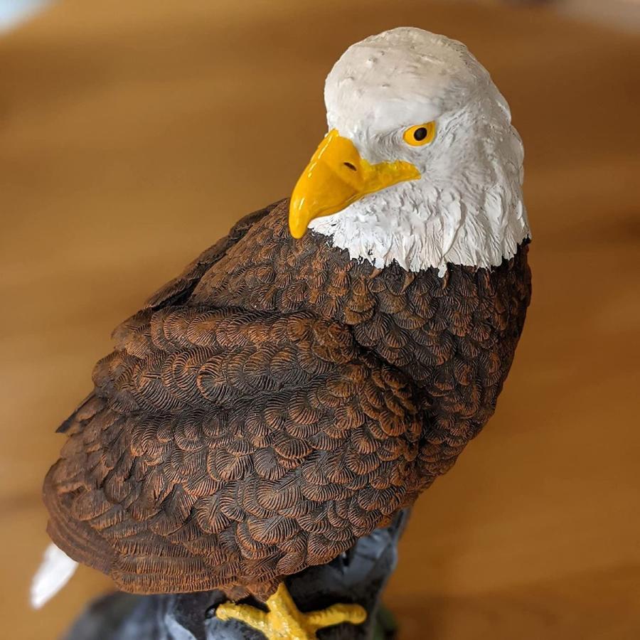 Revteds 鷹の置物ワシ 鳥よけ 害鳥対策 撃退 ベランダ鳩 カラス スズメ 猫 動物 ゴミ荒らし 見張り Gold River 通販 Yahoo ショッピング