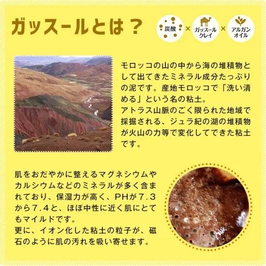 炭酸革命 synapse media lab ガスパニック 30回分 泥パック 炭酸パック