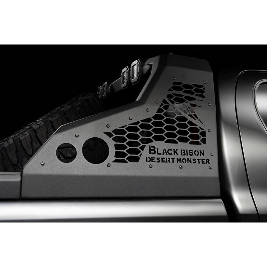 専用 WALD ヴァルド ハイラックス GUN125 (R2.8発売モデル) ロールバー